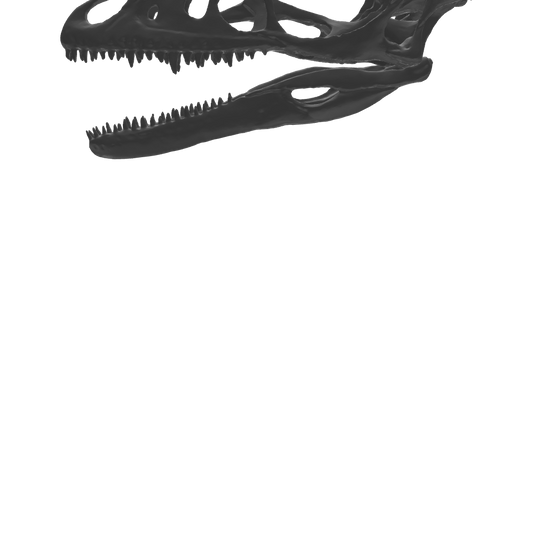 Microraptor csontváz