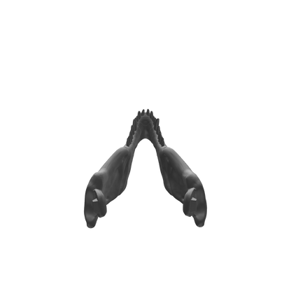 Kölyök T-rex csontváz